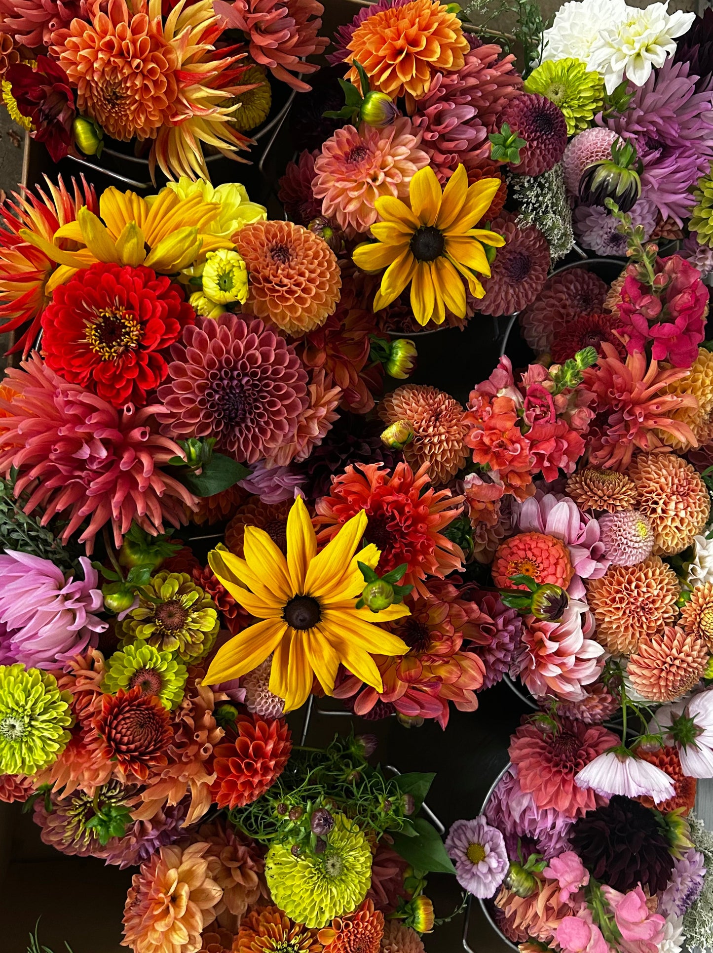 Late Summer Bouqet Subscription