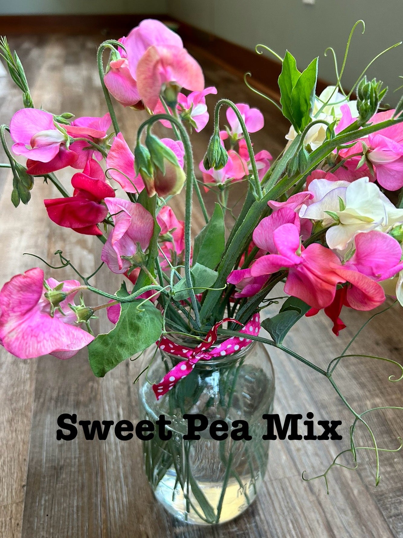 Sweet Pea Mix