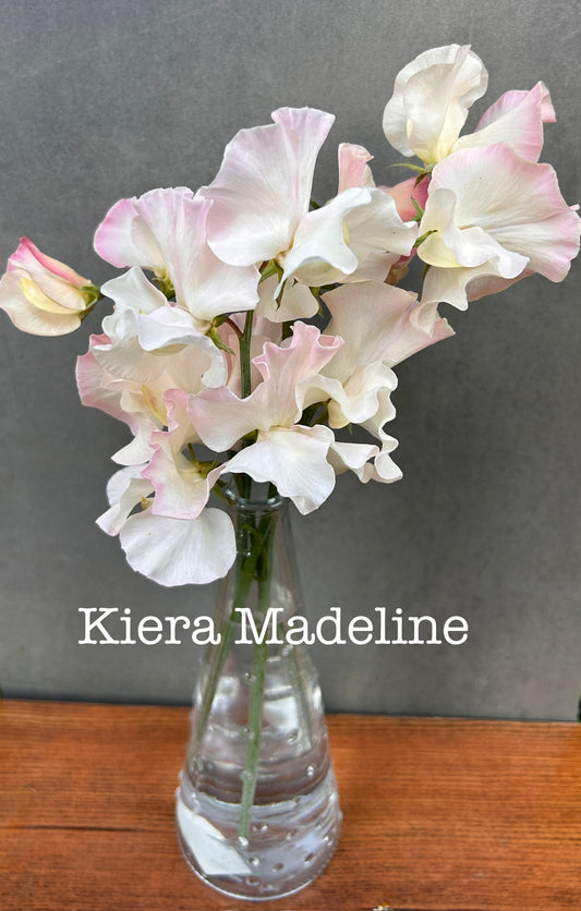 Sweet Pea- Kiera Madeline