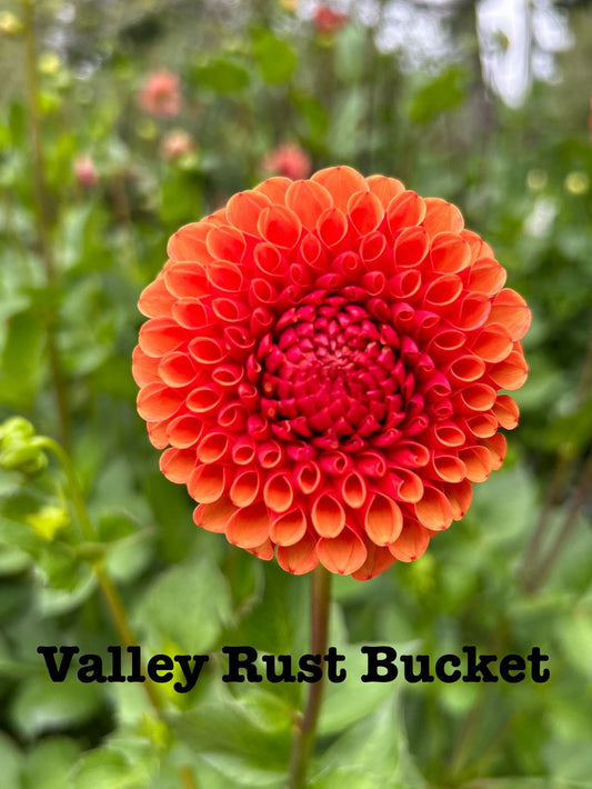 Valley Rust Bucket